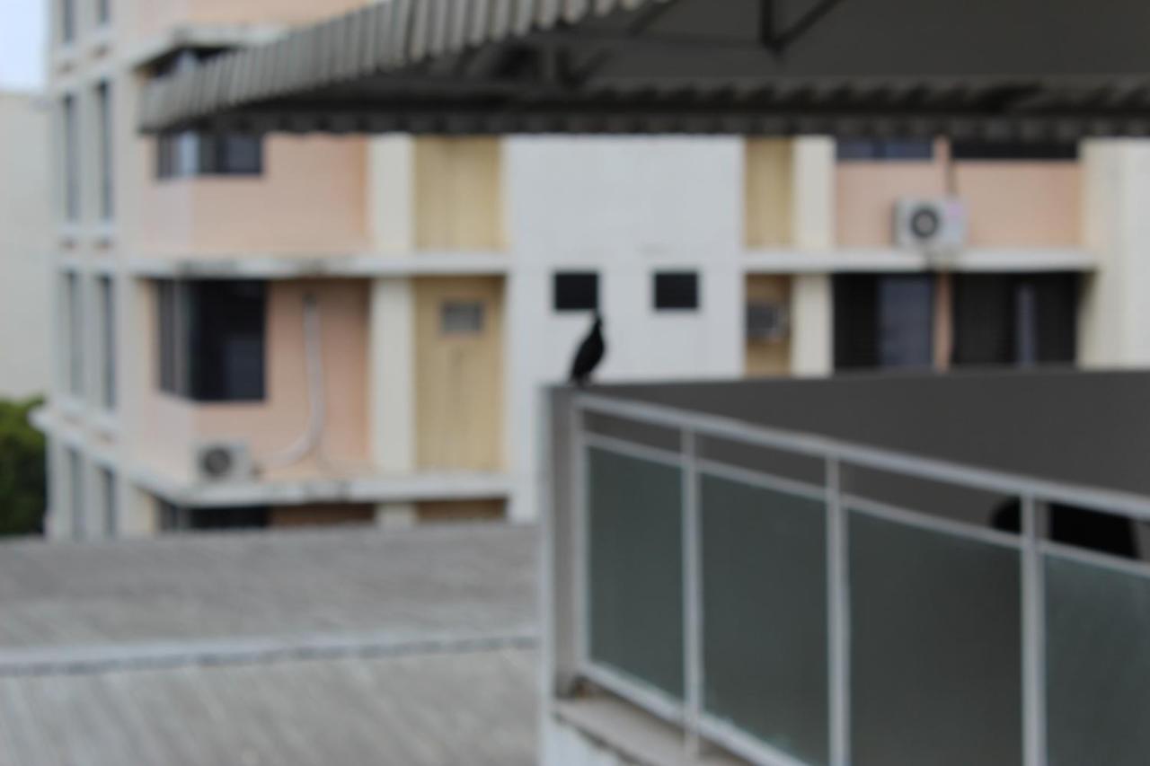 Blu Hostel Πόλη του Παναμά Εξωτερικό φωτογραφία